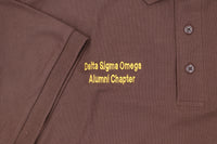 Iota Phi Theta - Delta Sigma Omega Chapter Polo