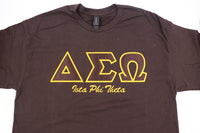 Iota Phi Theta - Delta Sigma Omega Chapter Tee Shirt