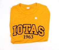 Iota Phi Theta "Iotas" Dry-Fit Tee