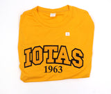 Iota Phi Theta "Iotas" Dry-Fit Tee