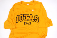 Iota Phi Theta "Iotas" Dry-Fit Tee