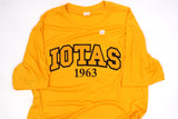 Iota Phi Theta "Iotas" Dry-Fit Tee