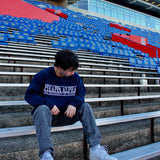 Pi Kappa Alpha Brotherhood Crewneck