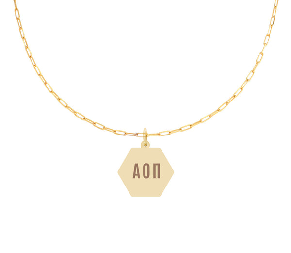 Alpha Omicron Pi Paperclip Necklace with Pendant