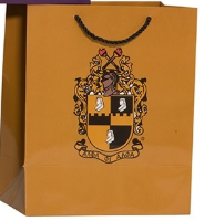 Alpha Phi Alpha Gift Bag - Medium