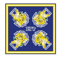 Sigma Gamma Rho Silk Scarf